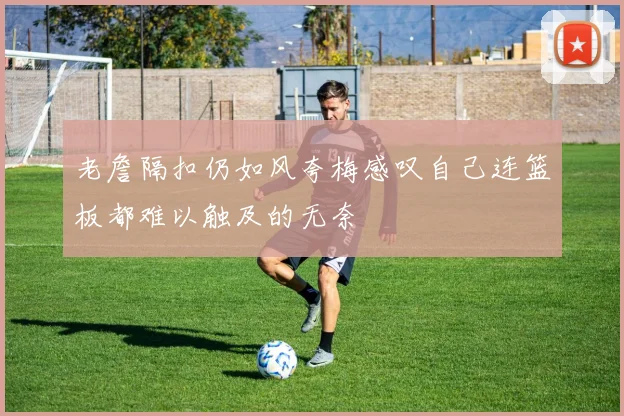 老詹隔扣仍如风夸梅感叹自己连篮板都难以触及的无奈