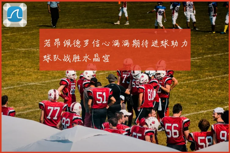 若昂佩德罗信心满满期待进球助力球队战胜水晶宫